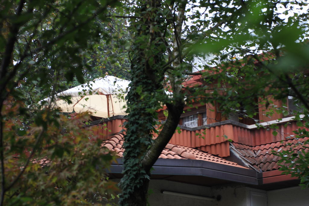 App Carolina Apartment Creazzo Стая снимка